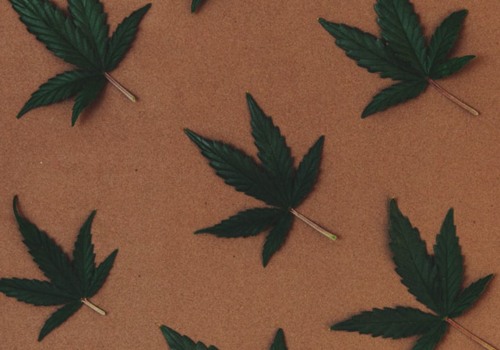 A Comprehensive Guide to Cannabis Products