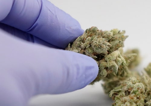 What Medical Conditions Qualify for Medical Cannabis in the UK?